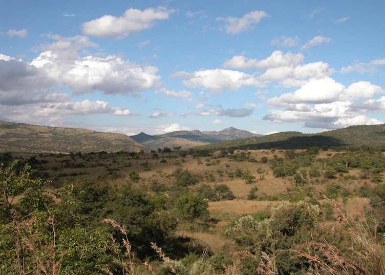 View in the Battlefields near Isibindi