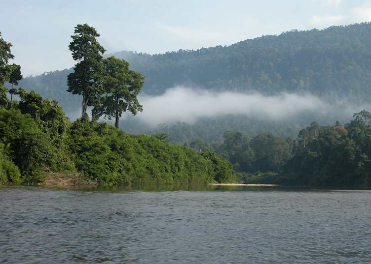 Endau Rompin National Park, Malaysia