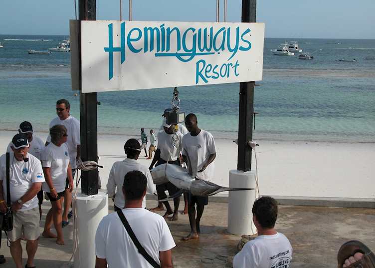 Sailfish catch at Hemingways