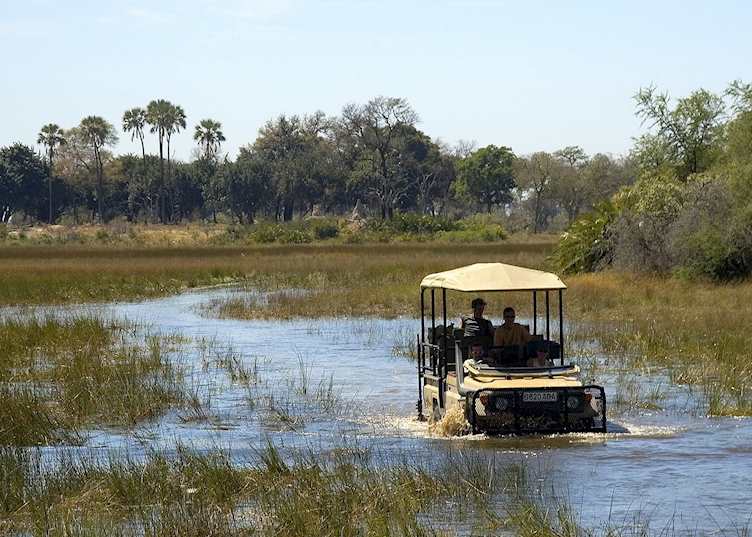 Game drive in the Abu Concession
