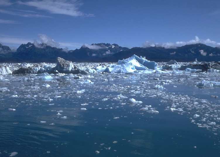 Prince William Sound icebergs
