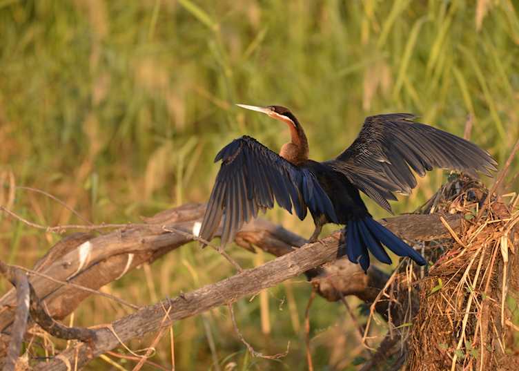 Activities from Rundu