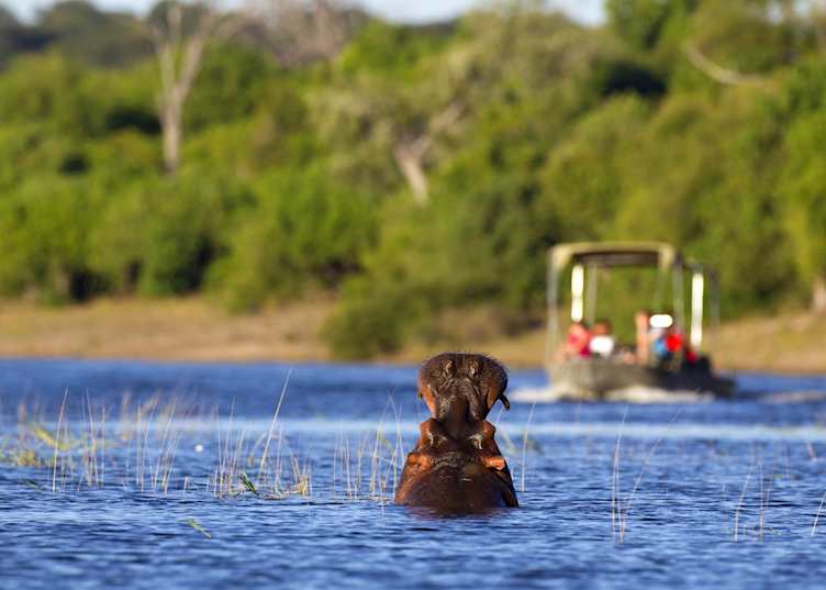 Nkasa Lupala National Park