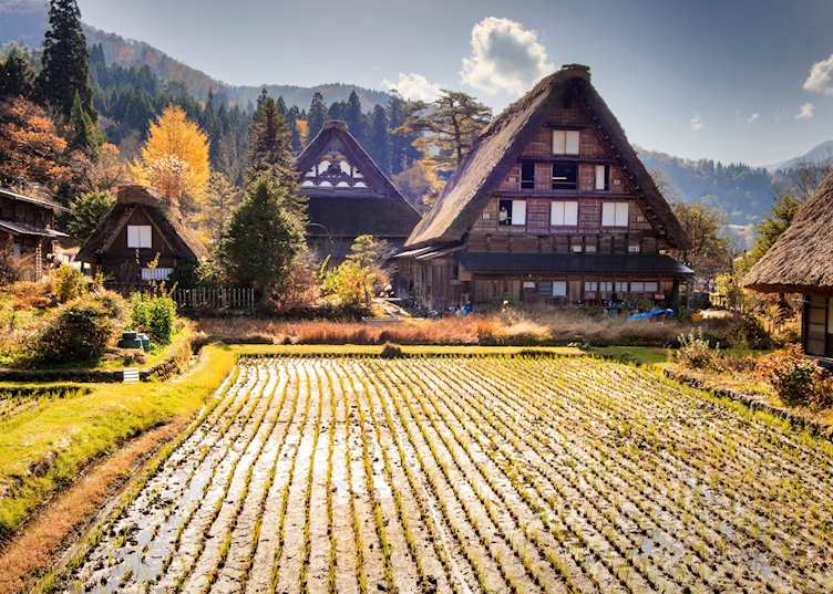 'Gassho-zukuri' thatched houses of Gokayama