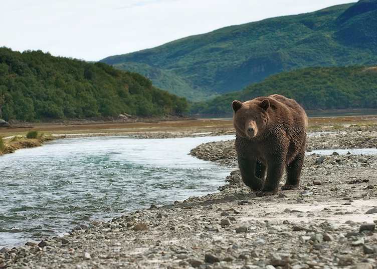Katmai National Park, Alaska