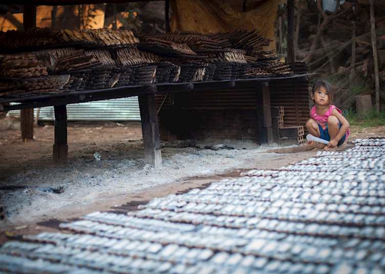 Girl drying fish near Tonle Sap