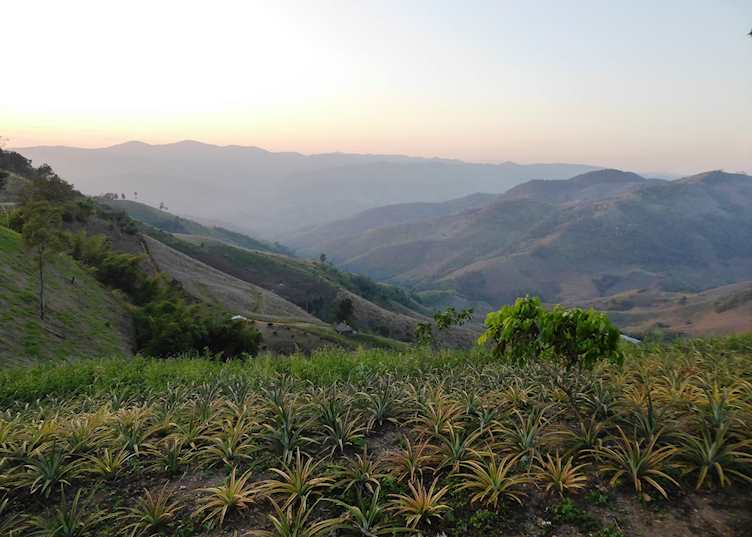 Views around Doi Chang