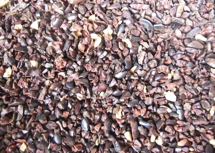 Cacao nibs