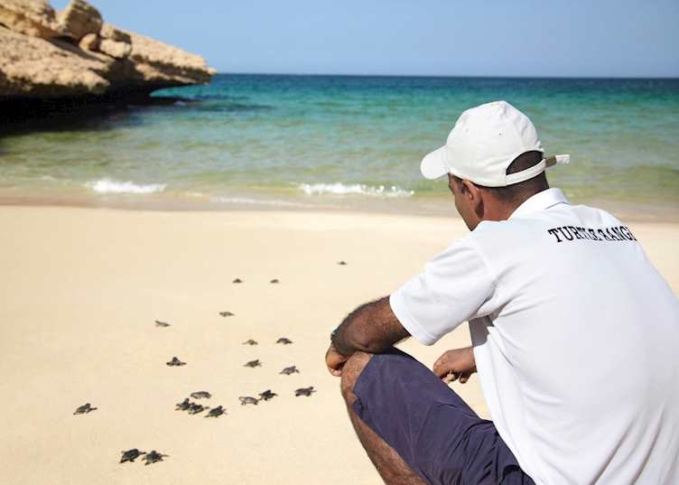 Turtle Ranger, Shangri-La's Barr Al Jissah Resort, Muscat