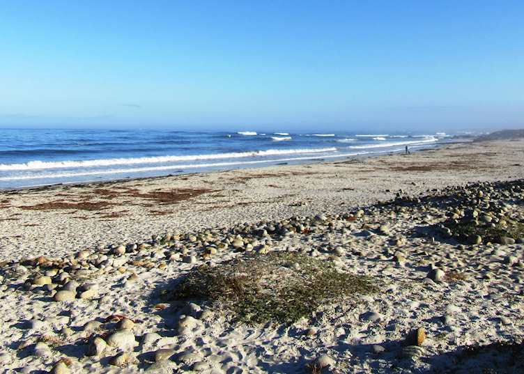 Rugged beach along the 17 Mile Drive, Monterey
