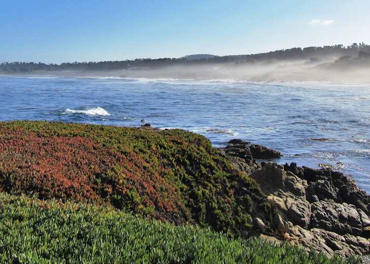 17 Mile Drive, California