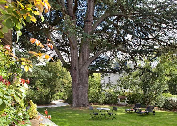 Domaine de La Tortinière, Veigne
