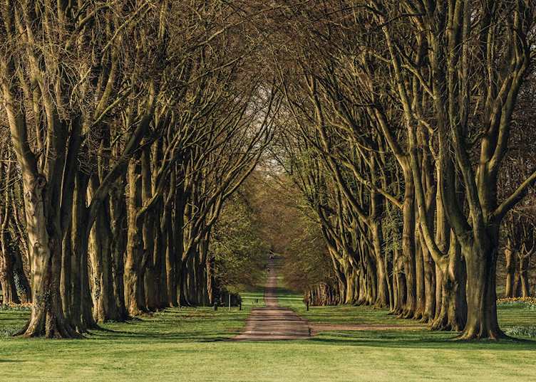 Lucknam Park, Bath