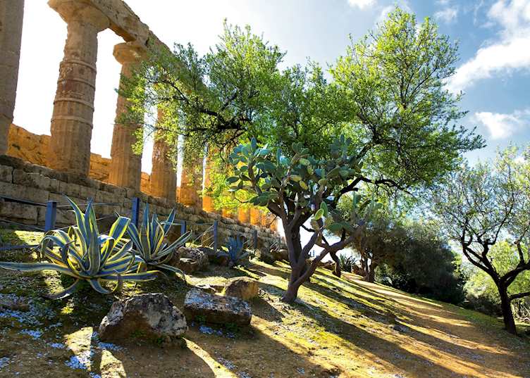 Temple of Juno, Agrigento