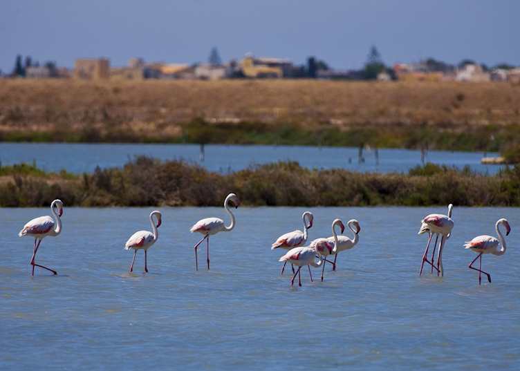 Salt pans, Trapani