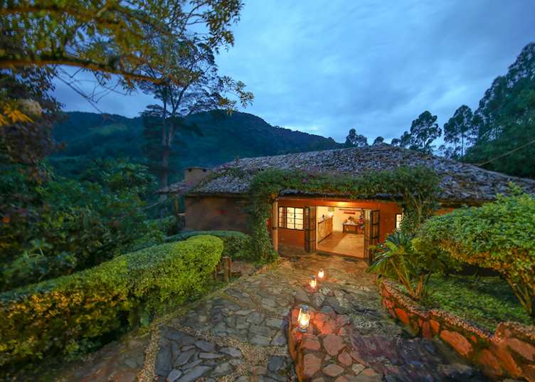 Mahogany Springs, Bwindi Impenetrable Forest National Park
