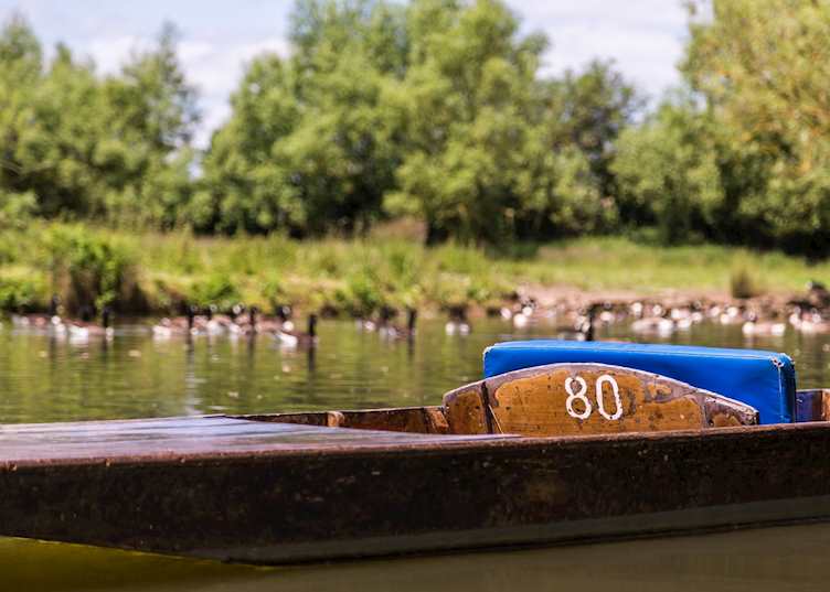 Oxford punting