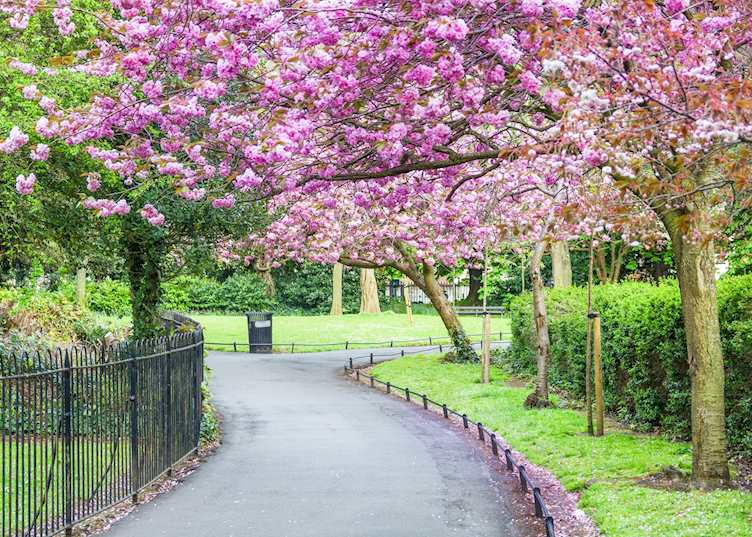 St Stephen's Green, Dublin