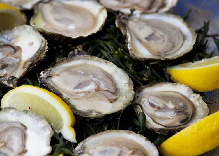 Galway oysters