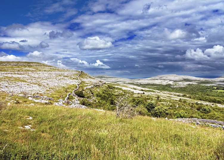 Limestone landscape in the Burren