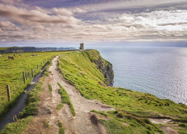 Cliffs of Moher