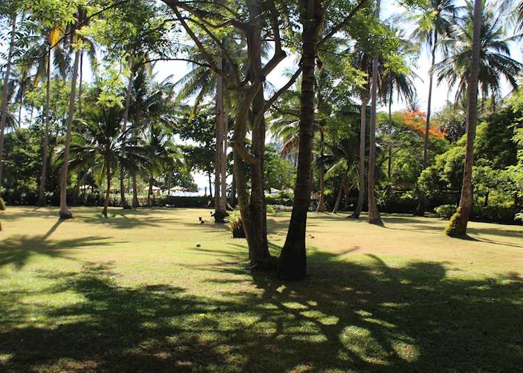 Gardens, Rayavadee, Krabi