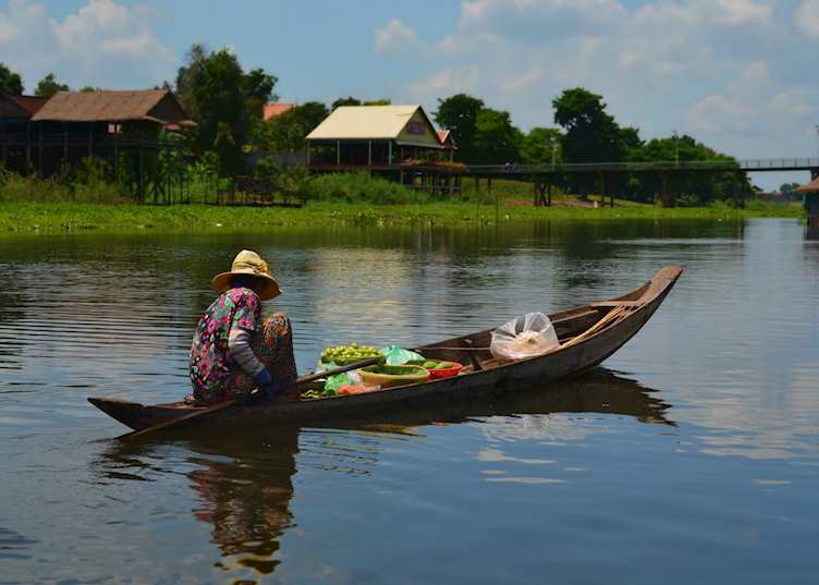 Fruit seller in the countryside, Phnom Penh