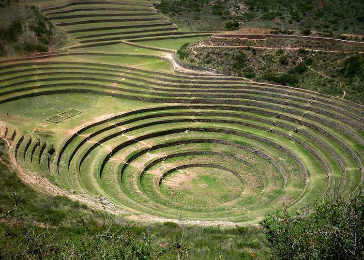 Moray