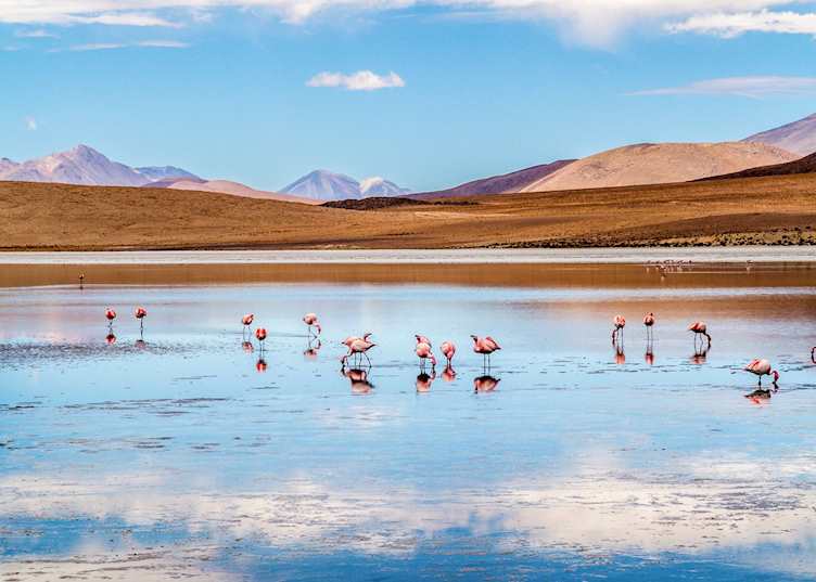 Salar Uyuni, Bolivia