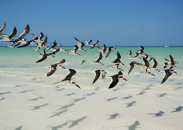 Holbox Island, Mexico