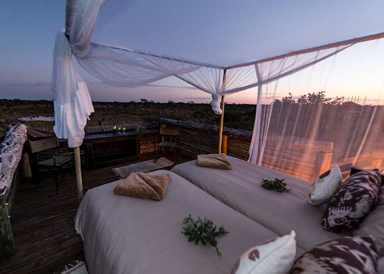Wake with the sun after a night in the Skybeds, Khwai