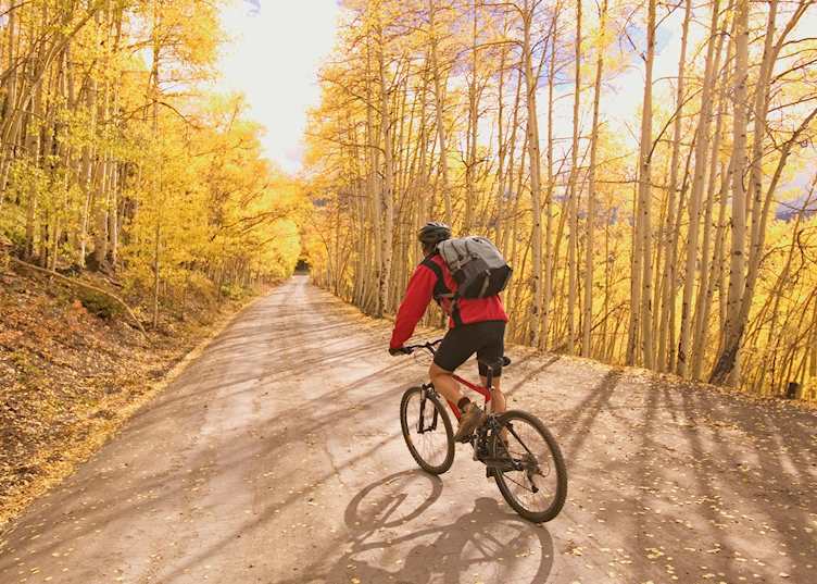 Mountain biking near Aspen