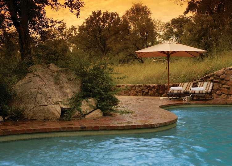 Pool, Sabi Sabi Little Bush Camp