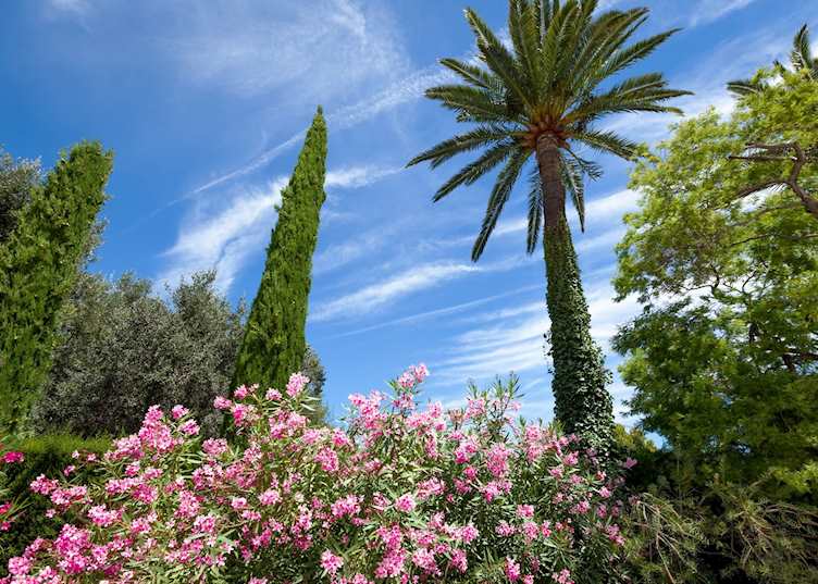 Saint-Jean-Cap-Ferrat, French Riviera