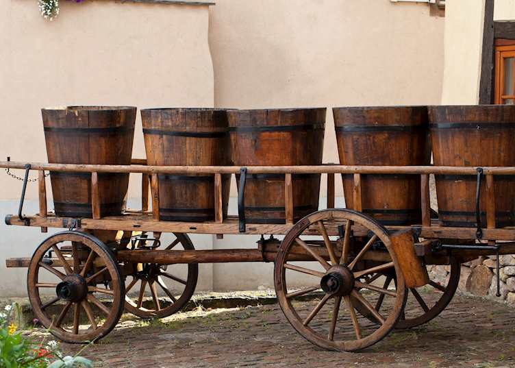 Wine barrels, France