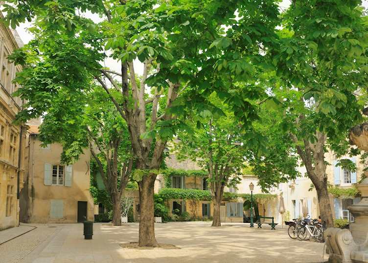 Saint-Rémy-de-Provence, Provence
