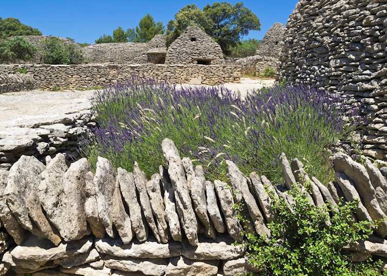 Lavender fields at Abbaye de Sénanque, Provence