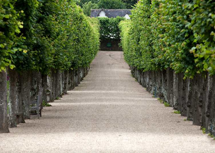Decorative garden, Loire Valley