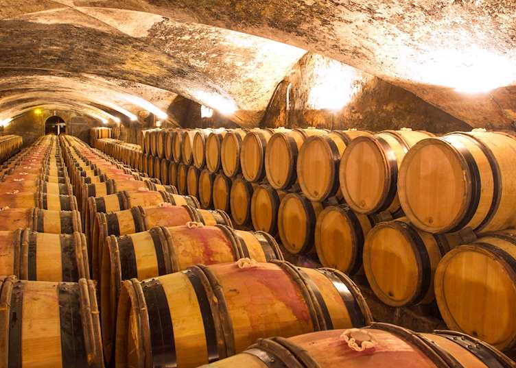 Wine cellar, Champagne