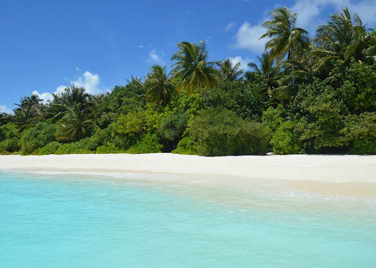 Beach, Maldive Island