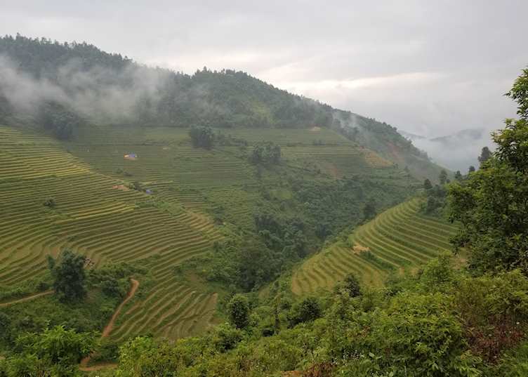 Rice terraces around Sapa