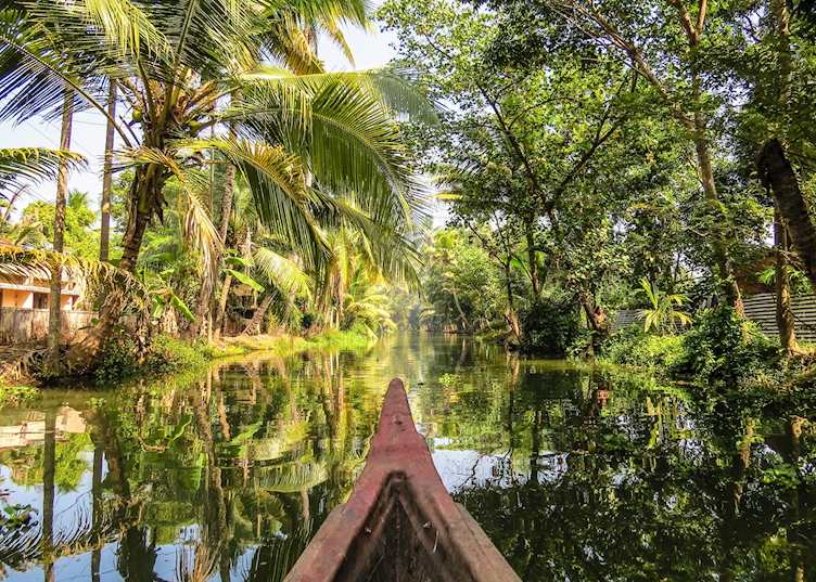 Backwaters, Kerala, India