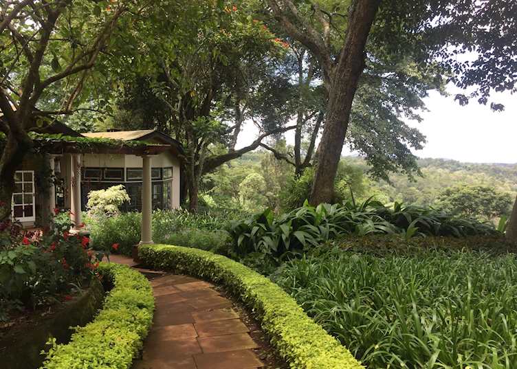 Pathway to the terrace at Gibb's Farm