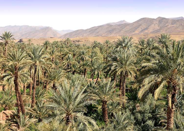 Draa Valley