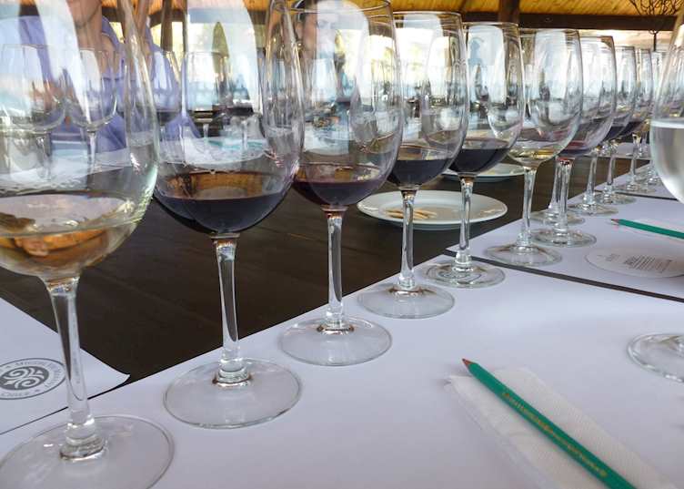 Wine tasting in Colchagua Valley 
