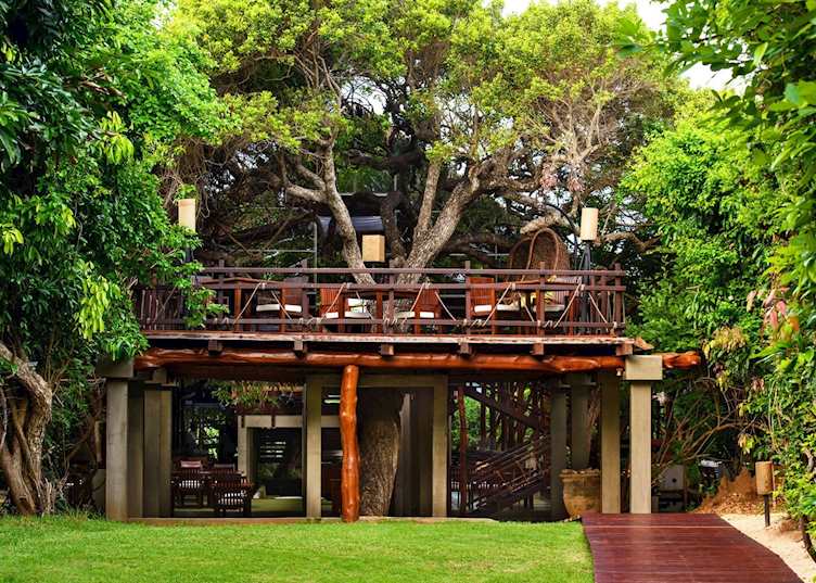 Jungle Beach Cabin