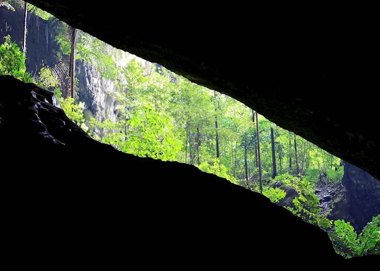Mulu Deer Cave