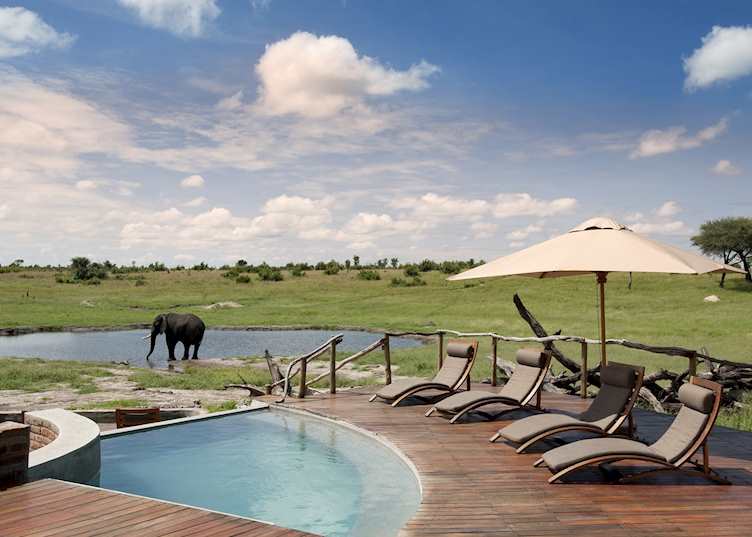 Elephant regularly visit the waterhole at Somalisa, Hwange