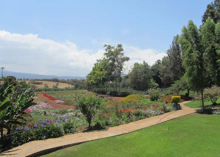Ngorongoro Farmhouse, Karatu