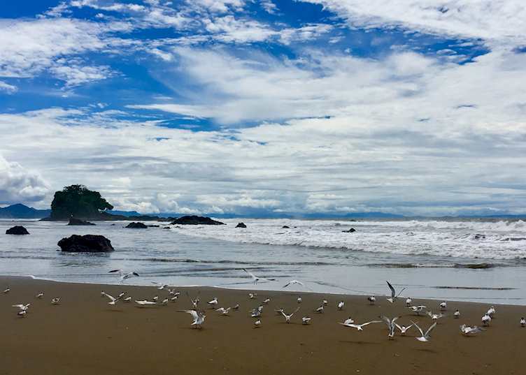 Bahía Solano